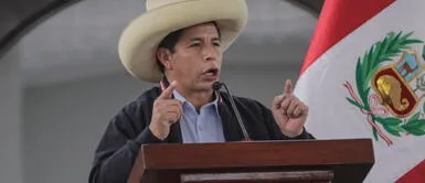 Ipsos: Pedro Castillo mantiene aprobación tras cuatro meses de mandato Ipsos: Pedro Castillo mantiene aprobación tras cuatro meses de mandato