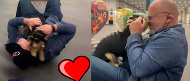 Mira el emotivo reencuentro de la perrita Bonnie y su dueño en México. Beto Ortiz: "La que más falta me ha hecho es mi engreída Bonnie"