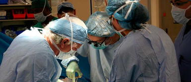 A diferencia de riñones de personas muertas, el de chancho funcionó enseguida Primer trasplante de riñón de cerdo a una mujer fue un éxito