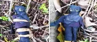 La anécdota del joven argentino se viralizó en redes. Joven encuentra un muñeco vudú en un parque: "Carlos te ato a mí por el resto de tu vida"