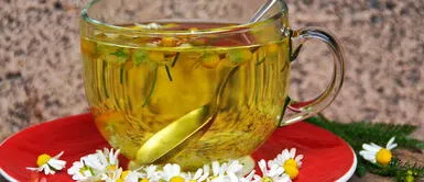 Beber infusión es una buena decisión para dormir con tranquilidad. Disfruta estas tres infusiones para que duermas plácidamente