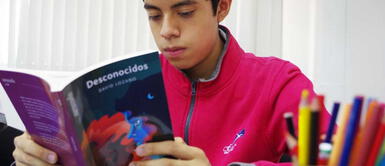 Perú, país con bajo desempeño en comprensión lectora en el mundo 5 recomendaciones para motivar la lectura en los niños