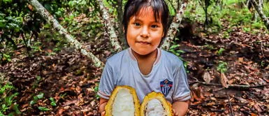 Emprendedores presentarán cacao, granadilla, miel, café, productos lácteos y embutidos. II Feria Cultural y Productiva de Oxapampa: Conoce los productos más destacados de este lugar