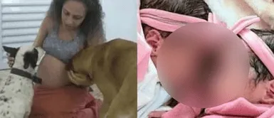 Menores asesinadas por perros Perro atacó a gemelas recién nacidas y las mató: Familia intentaba tener hijos hace 9 años