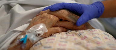 El hombre de 80 años fue alcanzado por 5 perros que atacaron sus brazos. Anciano de 80 años sufre ataque por 5 perros en Huancayo