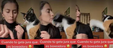 Gato 'boxea' con su dueña "Gata luchadora": Joven se graba con su minina, pero todo termina en 'pelea' | VIDEO