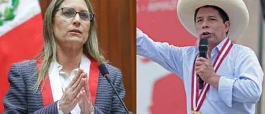 María Alva envió mensaje a Gabinete Ministerial. Presidenta del PCM indicó que con voto de confianza espera que trabajen en reactivación económica