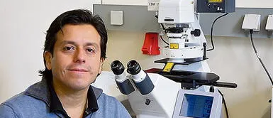 Edward Málaga-Trillo: Ausencia de Pedro Castillo en la COP26 se debe a Edward Málaga-Trillo: Ausencia de Pedro Castillo en la COP26 se debe a "falta de conciencia"