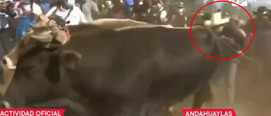 Presidente Pedro Castillo aró la tierra durante actividad por segunda reforma agraria en Apurímac Presidente Pedro Castillo aró la tierra durante actividad por segunda reforma agraria en Apurímac