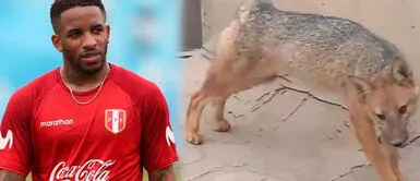 Meme de 'Run Run' en fiesta de Jefferson Farfán ha causado furor en redes sociales Divertido meme sobre ‘Run Run’ es tendencia en redes sociales | FOTO