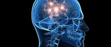 Nuevo estudio demuestra que los soñadores lúcidos pueden comunicarse al dormir. Foto: difusión Científicos inducen el sueño lúcido para interactuar entre ambos mundos