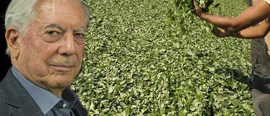 Mario Vargas Llosa explicó en su columna de opinión Mario Vargas Llosa considera la "liberación de las drogas" como solución al narcotráfico