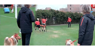 Ricardo Gareca pasea a su perrita Almendra a los entrenamientos Ricardo Gareca pasea a su perrita Almendra en los entrenamientos de la selección peruana
