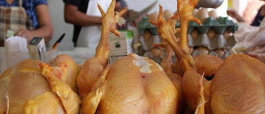 Precio de gallina se incrementa y precio del pollo continúa elevado en mercados. Cercado de Lima: comerciantes anuncian aumento en el precio de la gallina, yuca, y otros alimentos