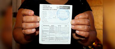 Conoce los pasos para obtener tu certificación de vacunación gratis. Carné de vacunación digital: ¿Cómo descargar tu certificado COVID-19 del Minsa?