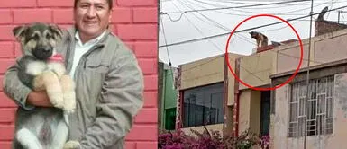 Vladimir Cerrón es cuestionado por supuesto abandono a su mascota Vladimir Cerrón habría abandonado a su perrito, según denuncia de vecinos | FOTO