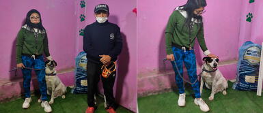 Familia dará recompensa por la aparición del perrito Manchitas. Joven se encuentra angustiada por su perrito perdido en SJL: “Estoy desesperada sin saber de Manchitas”