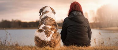 Soñar con un perro no siempre es positivo, por ello es importante recordar los detalles. ¿Cuáles son todos los significados de soñar con un perro?
