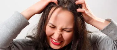 Conoce el significado de soñar con piojos y porqué puede ser una señal de alerta. Soñar con piojos: ¿qué significa y cuáles son sus distintas interpretaciones?