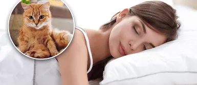 Los gatos simbolizan poder y protección, por ello no temas si aparece alguno de ellos mientras duermes. Foto: composición de Fabrizio Oviedo / La República ¿Te has preguntado qué significa soñar con uno o varios gatos?