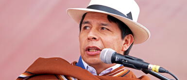 Pedro Castillo: "Ciertos grupillos quieren desestabilizar al Gobierno" Pedro Castillo: "Ciertos grupillos quieren desestabilizar al Gobierno"