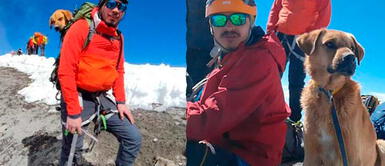 La historia de Canelo es viral en redes sociales. Canelo: perrito, que estuvo perdido un mes en un volcán, fue rescatado