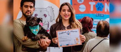 Dueños y sus mascotas podrán asistir a la gran campaña de adopción en Surquillo. 30 perros y gatos buscan un nuevo hogar a puertas de Navidad este domingo