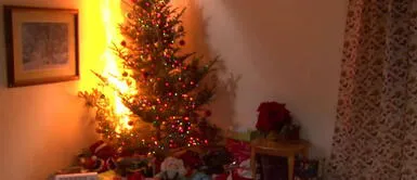 Durante las fiestas la cantidad de incendios se incrementan por el uso de luces por muchas horas. Conoce cómo impedir un incendio si mi árbol navideño lleva horas encendido