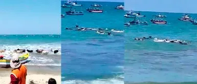 En redes sociales, usuarios las bautizaron como las vacas playeras. Tumbes: Vacas sorprenden a turistas al nadar en la playa de Zorritos