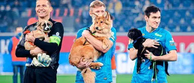 Zenit de San PEtersburgo hace campaña para adoptar perritos en Rusia Zenit de San Petersburgo conmueve al mundo tras gesto con cachorritos | VIDEO