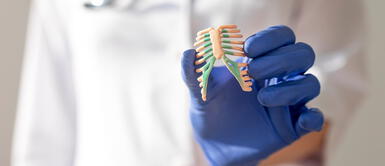 Las costillas son una parte importante del cuerpo humano ya que protege a los órganos. ¿Te has preguntando cuántas costillas tiene el ser humano?