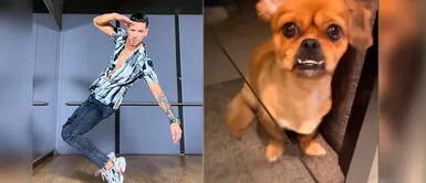 Anthony Aranda es muy expresivo con sus lindas mascotas. Anthony Aranda enternece al hablar con su perrita: "Qué pacha mi amorchito pechocha"