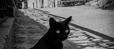 Las creencias en la buena o mala suerte tienen un pasado lleno de situaciones inexplicables. ¿Qué son las supersticiones y cómo se involucran en la vida cotidiana?