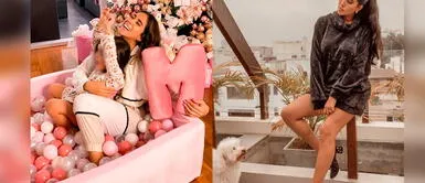 Melissa Paredes tiene dos bellas mascotas en su nuevo departamento. Melissa Paredes demuestra que adora a su gato con tierno video en redes sociales