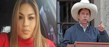 Karelim López ofreció información inculpatoria contra Pedro Castillo, pero colaboración eficaz se frustró ¿Qué fue lo que ofreció Karelim López para delatar a Pedro Castillo?