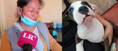 Mujer revela que sujetos amenazaban con matar a su mascota. Hombres atacan a cachorro con botellazo y le provocan la muerte en plena calle