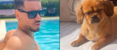 Anthony Aranda comparte momentos con su perrita Anthony Aranda disfruta su fin de semana junto a su amor perruno | VIDEO