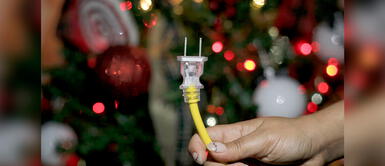 Conoce las recomendaciones para cuidar a tus mascotas en estas fiestas de fin de año. ¿Cómo evitar incendios y qué cuidados tener en el hogar durante fiestas navideñas?