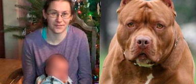 La familia organizó una actividad para costear los gastos médicos y funerales. Se llegó a recaudar 35 mil dólares Madre se enfrenta a un pitbull para salvar la vida de su bebé y fallece | VIDEO