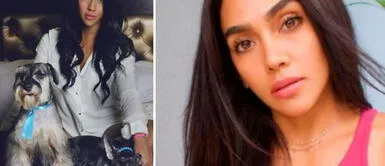 La modelo dejó contundente mensaje tras el uso de pirotécnicos en Navidad. Vania Bludau enfurece por uso de pirotécnicos: "Otro año tratando de tranquilizar a mis perritos"