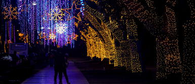 Celebrar Navidad en estos países puede llevarte a la pena de muerte, cárcel o tortura ¿Por qué? Celebrar Navidad en estos países puede llevarte a la pena de muerte, cárcel o tortura ¿Por qué?