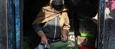 Al tomar el poder los talibanes dijeron que respetarían los derechos de la mujer, pero bajo la ley islámica. Afganistán: Talibanes prohíben que mujeres viajen sin un acompañante