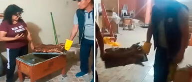 Bailan de emoción al terminar de cocinar su cena navideña, pero un mal paso los deja sin comida Viral: Familia celebra haber logrado cocinar su cena navideña, pero no pudieron disfrutarlo por un mal paso