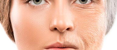 El colágeno ¿Cuáles son los alimentos que revitalizan nuestro colágeno de manera natural?