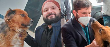 Brownie ya conversó con su ‘homólogo’ Dylan, que es la mascota del presidente argentino Alberto Fernández. Conoce a Brownie, el 'primer perro de la República de Chile' | VIDEO