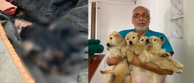 Personas seguían haciendo sus compras pese a la alerta de los bomberos en incendio. Incendio en Mesa Redonda: Veterinario acudió al llamado de los bomberos y ayudó a gatito con graves quemaduras