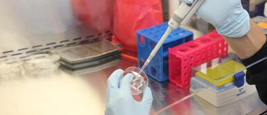 España detectó los primeros casos de flurona, la infección simultánea de gripe y COVID-19 España detectó los primeros casos de flurona, la infección simultánea de gripe y COVID-19