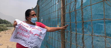 Chaclacayo: vecinos exigen justicia para mujer que fue atacada por perros pitbull Chaclacayo: vecinos exigen justicia para mujer que fue atacada por perros pitbull