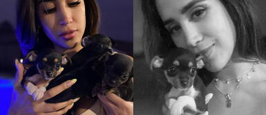 Melissa Paredes habría adoptado con Anthony Aranda Melissa Paredes y Anthony Aranda habrían adoptado perritos juntos