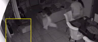 Familia se despertó tras el sismo 5.6 en Lima. Familia se va de su casa en pleno temblor, pero olvida a su gato | VIDEO